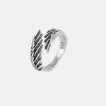 Anel Sentinela do Vazio